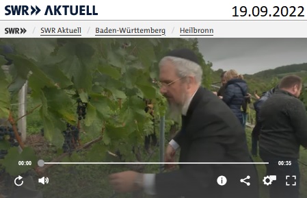 SWR AKTUELL zum Beginn der Weinlese von koscherem Wein am 19.09.2022